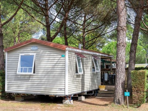 MOBILHOME 4 personnes - COTTAGE Pin 4p 2ch ***