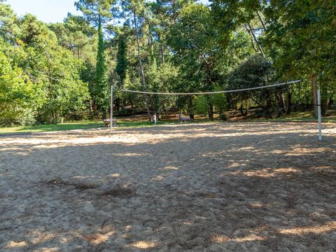 Camping Palmyre Loisirs  - Camping Charente-Maritime - Image N°17