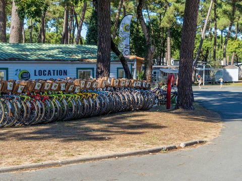 Camping Palmyre Loisirs  - Camping Charente-Maritime - Image N°20