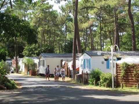 Camping Palmyre Loisirs  - Camping Charente-Maritime - Image N°33