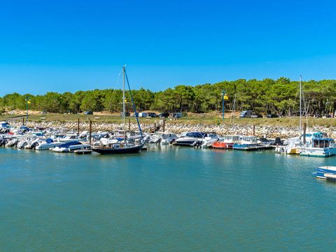 Camping Palmyre Loisirs  - Camping Charente-Maritime - Image N°29