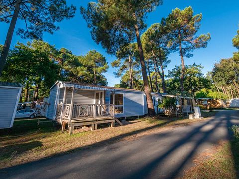 Camping Palmyre Loisirs  - Camping Charente-Maritime - Image N°25