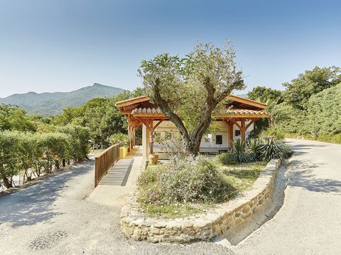 Camping des Albères - Camping Pyrénées-Orientales - Image N°45