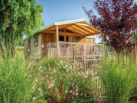 Lodge 4/6 personnes - Cabane Cosy Flower - CONFORT - 2 chambres - 27m² - Terrasse Couverte