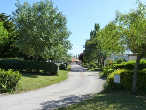 Emplacement - Forfait Confort (1 tente, caravane ou camping-car / 1 véhicule / électricité 10A)
