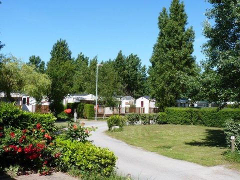 Emplacement - Forfait Confort (1 tente, caravane ou camping-car / 1 véhicule / électricité 10A)