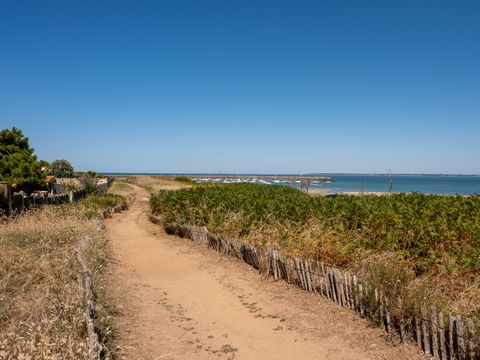 Flower Camping La Guichardière - Camping Loire-Atlantique - Image N°36