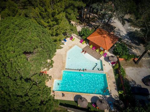 Camping La Tour de France - Camping Pyrénées-Orientales - Image N°3