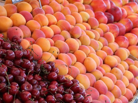 Camping La Tour de France - Camping Pyrénées-Orientales - Image N°39