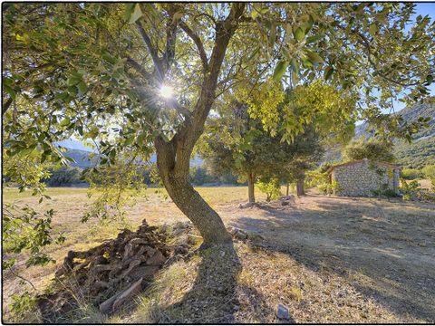 Camping La Tour de France - Camping Pyrénées-Orientales - Image N°52