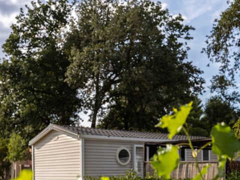 MOBILHOME 6 personnes - 3 chambres / CONFORT (CLIM + PERGOLA + PLANCHA)