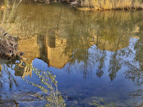 Camping La Tour de France - Camping Pyrénées-Orientales - Image N°55