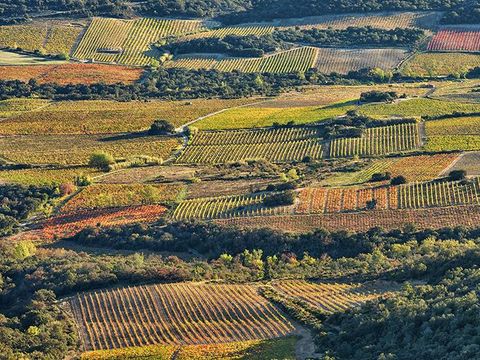 Camping La Tour de France - Camping Pyrénées-Orientales - Image N°54