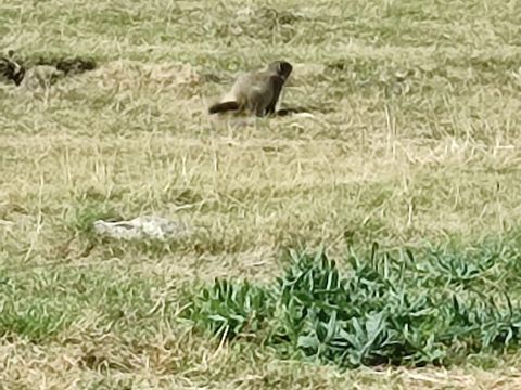 Camping Le Champ Long - Camping Isère - Image N°14