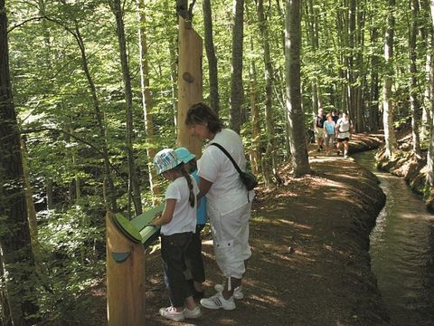 Camping Le Champ Long - Camping Isère - Image N°15