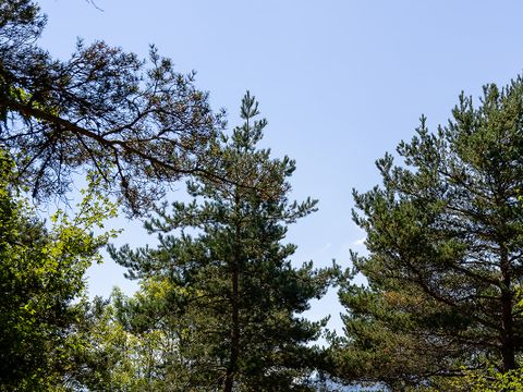 Camping Le Champ Long - Camping Isère - Image N°29