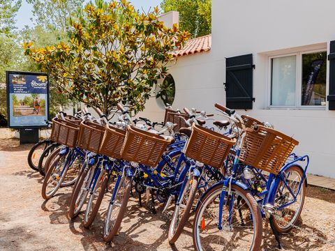 Flower Camping L'Escale du Perthuis - Camping Vendée - Image N°26