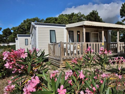 MOBILHOME 5 personnes - Bleu Lagon Duo Contemporain 3 Pièces 5 Personnes