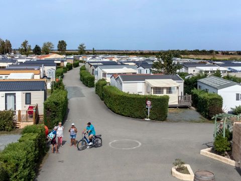 Camping Paradis Les Jonquilles - Camping Vendée - Image N°5