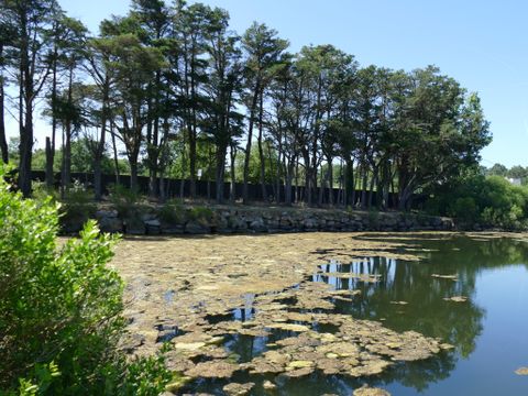 Camping Plijadur - Camping Morbihan - Image N°50