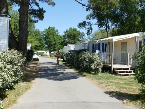 Camping Plijadur - Camping Morbihan - Image N°52