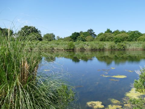 Camping Plijadur - Camping Morbihan - Image N°51