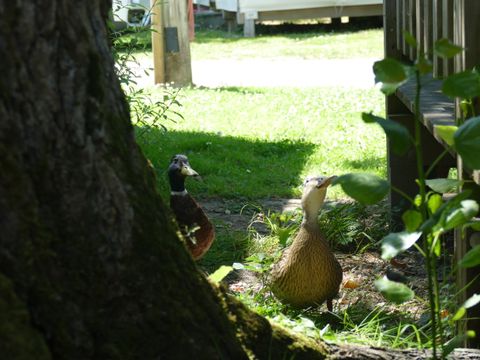 Camping Plijadur - Camping Morbihan - Image N°48