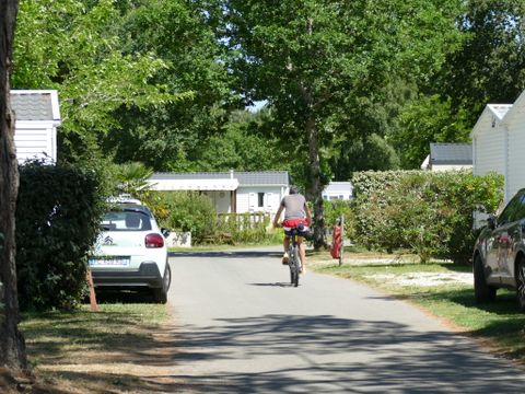 Camping Plijadur - Camping Morbihan - Image N°52