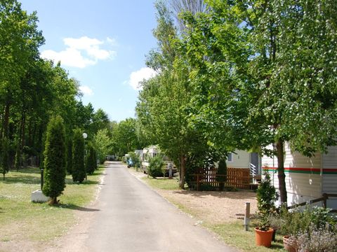 Camping Les Acacias - Camping Indre-et-Loire - Image N°6