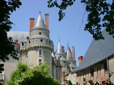 Camping Les Acacias - Camping Indre-et-Loire - Image N°24