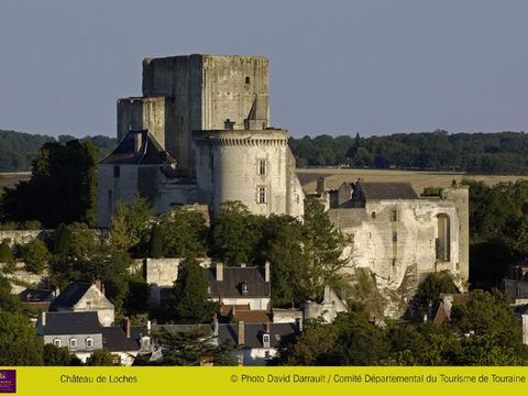 Camping Les Acacias - Camping Indre-et-Loire - Image N°28