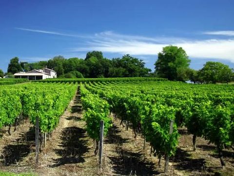 Camping Les Acacias - Camping Indre-et-Loire - Image N°26
