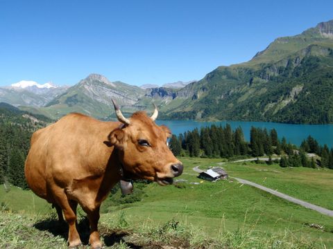 Camping l'Eden de la Vanoise - Camping Savoie - Image N°62