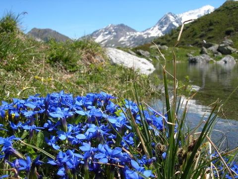 Camping l'Eden de la Vanoise - Camping Savoie - Image N°72