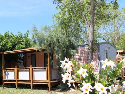 MOBILHOME 4 personnes - Flamant - 2 chambres