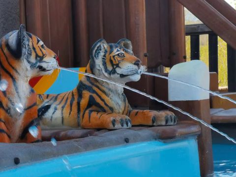 Flower Camping Saint Amand - Camping Ardèche - Image N°29