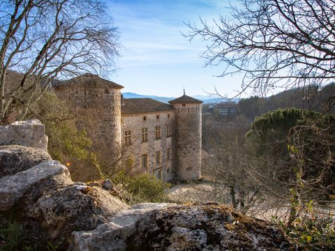 Flower Camping Saint Amand - Camping Ardèche - Image N°23