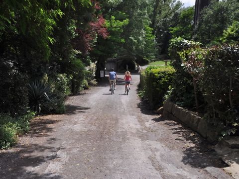Camping les Rives d'Auzon - Camping Ardèche - Image N°33