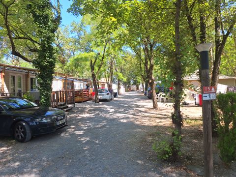 Camping les Rives d'Auzon - Camping Ardèche - Image N°34