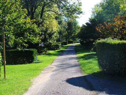 Camping Le Grand Cerf - Camping Drome - Image N°22