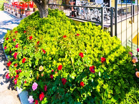 Club del Sole Le Palme Lazise Family Collection - Camping Vérone - Image N°26