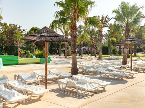 Camping Oasis et California - Camping Pyrénées-Orientales - Image N°2