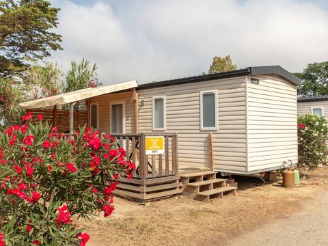Camping Oasis et California - Camping Pyrénées-Orientales - Image N°17