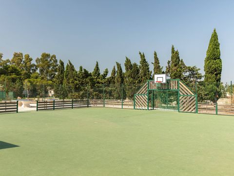 Camping Oasis et California - Camping Pyrénées-Orientales - Image N°13