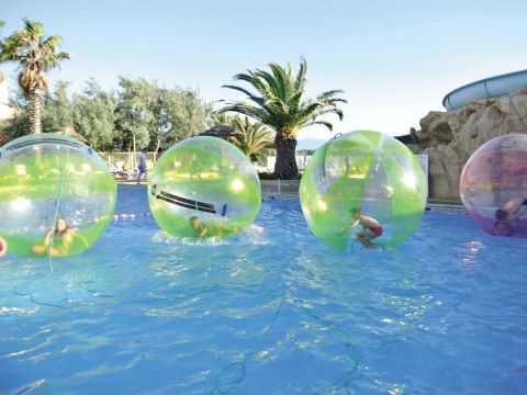 Camping La Presqu'Ile - Camping Pyrénées-Orientales - Image N°8