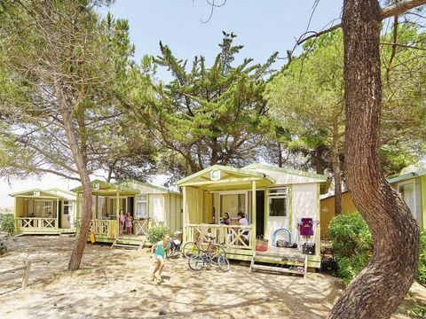 Camping La Presqu'Ile - Camping Pyrénées-Orientales - Image N°8