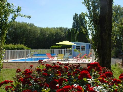 Camping Les Tournesols - Camping Sarthe - Image N°2