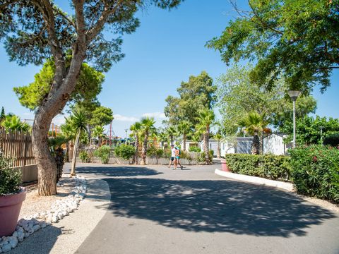Camping Club Les Tamaris  - Camping Pyrénées-Orientales - Image N°46