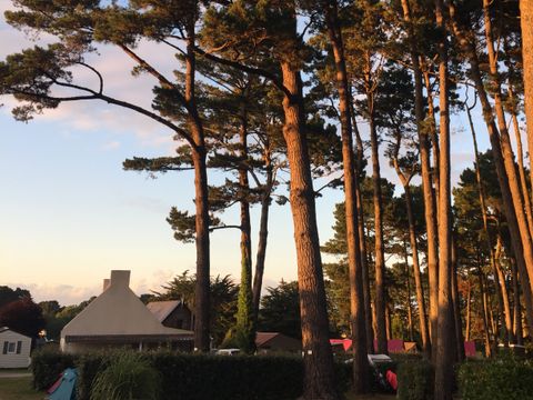 Slow Village Belle-Île-en-Mer - Camping Morbihan - Image N°19