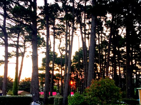 Slow Village Belle-Île-en-Mer - Camping Morbihan - Image N°20